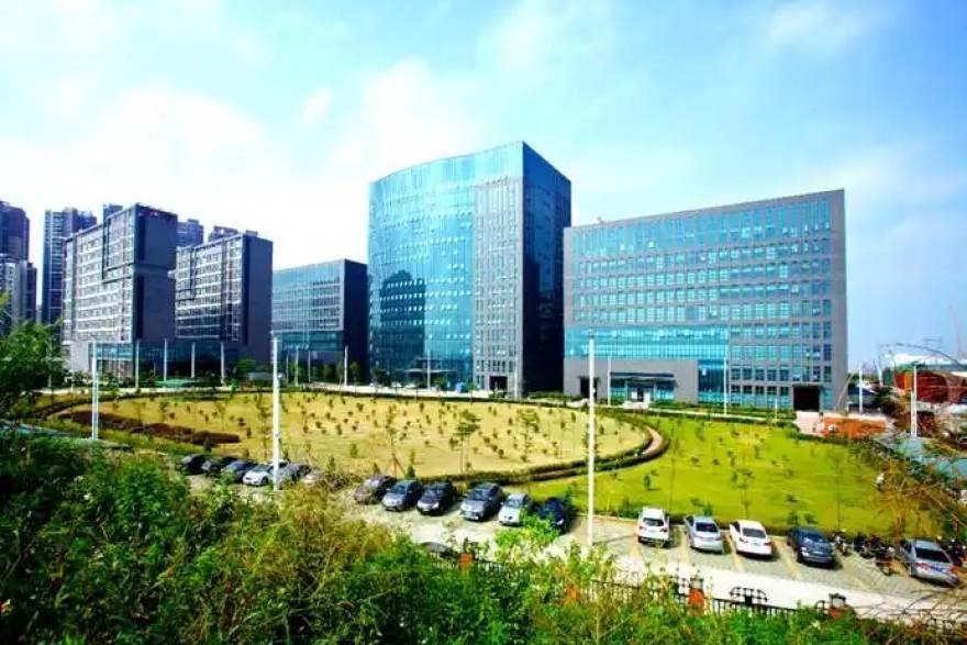从青训营到顶级联赛：一位门将教练的十年战术笔记